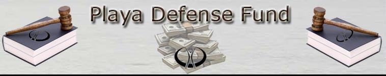 Playa Defense Fund - Providing Financial & Legal Assistance For Burners...By Burners